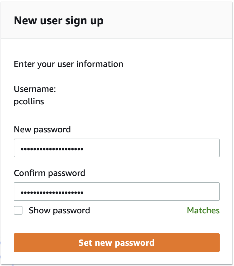 Set Password